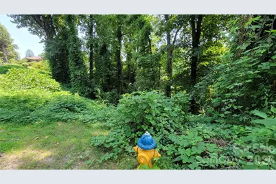 160 Cleveland Road, Tryon, NC 28782 - Photo 23