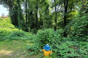 160 Cleveland Rd, Tryon, NC 28782 - Photo 23