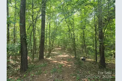 00 Hoke Road, Heath Springs, SC 29058 - Photo 11