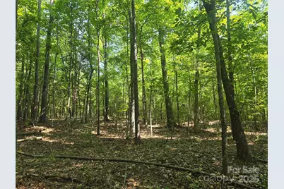 00 Hoke Road, Heath Springs, SC 29058 - Photo 9