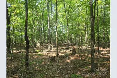 00 Hoke Road, Heath Springs, SC 29058 - Photo 7