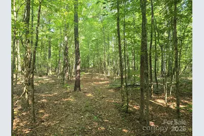 00 Hoke Road, Heath Springs, SC 29058 - Photo 5