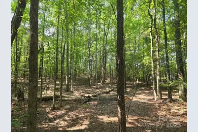 00 Hoke Road, Heath Springs, SC 29058 - Photo 13