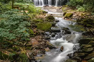 26 Upper Ridge Rd, Black Mountain, NC 28711 - Photo 39