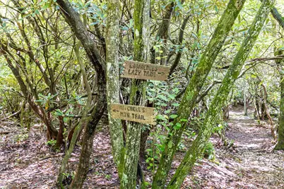 26 Upper Ridge Road, Black Mountain, NC 28711 - Photo 35