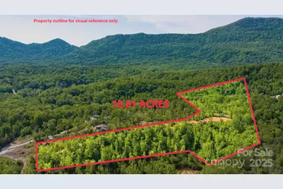 1 Constant Lane, Columbus, NC 28722 - Photo 5