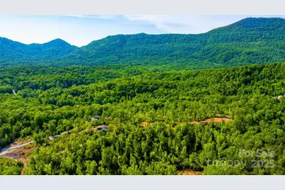 1 Constant Lane, Columbus, NC 28722 - Photo 3