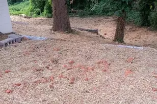 308 Davis Park Rd, Gastonia, NC 28052 - Photo 15