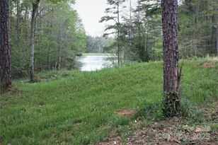 808 Bellegray Rd, Clover, SC 29710 - Photo 1