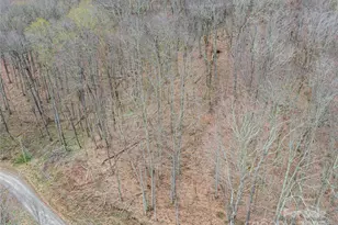 Lot 150 Puncheon Ln, Mars Hill, NC 28754 - Photo 3
