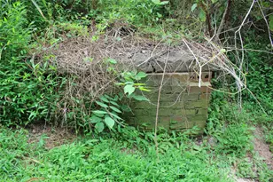 569 Union St S, Concord, NC 28025 - Photo 7