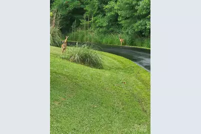 9999 Settlers Trail #39, Mars Hill, NC 28754 - Photo 7