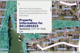 2116 Bon Villa Way, Fort Mill, SC 29708 - Photo 27