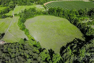 2416 Cane Creek Rd, Rutherfordton, NC 28139 - Photo 33