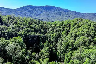 2416 Cane Creek Rd, Rutherfordton, NC 28139 - Photo 39