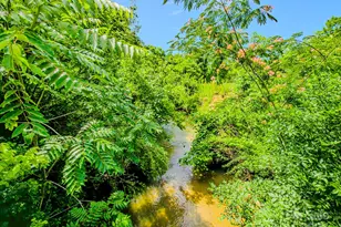 2416 Cane Creek Rd, Rutherfordton, NC 28139 - Photo 29