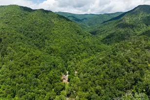 1037 Newberry Creek Rd, Old Fort, NC 28762 - Photo 47