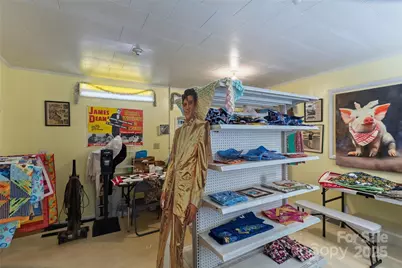 6306 Pigeon Road, Canton, NC 28716 - Photo 21