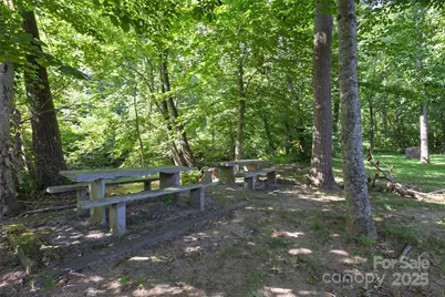 6306 Pigeon Road, Canton, NC 28716 - Photo 41