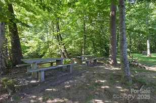6306 Pigeon Rd, Canton, NC 28716 - Photo 41