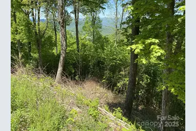 Lot 22 Spring Rock Road, Burnsville, NC 28714 - Photo 7