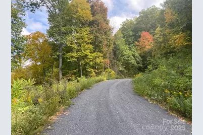 Lot 22 Spring Rock Road, Burnsville, NC 28714 - Photo 25