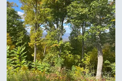 Lot 22 Spring Rock Road, Burnsville, NC 28714 - Photo 27