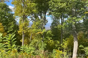 Lot 22 Spring Rock Rd, Burnsville, NC 28714 - Photo 27