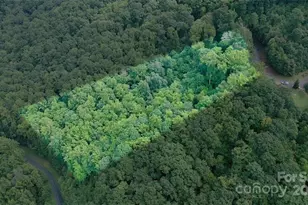 Lot 22 Spring Rock Rd, Burnsville, NC 28714 - Photo 9