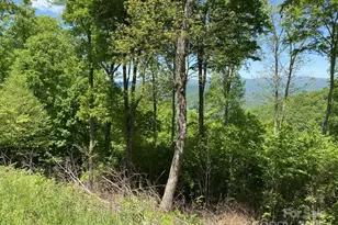 Lot 22 Spring Rock Rd, Burnsville, NC 28714 - Photo 5