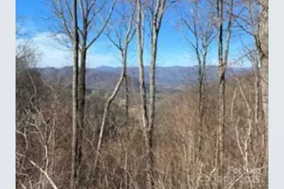 Lot 22 Spring Rock Road, Burnsville, NC 28714 - Photo 19