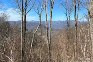 Lot 22 Spring Rock Rd, Burnsville, NC 28714 - Photo 19