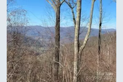 Lot 22 Spring Rock Road, Burnsville, NC 28714 - Photo 17