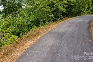 Lot 22 Spring Rock Rd, Burnsville, NC 28714 - Photo 11