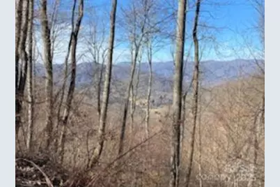 Lot 22 Spring Rock Road, Burnsville, NC 28714 - Photo 23