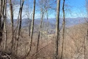 Lot 22 Spring Rock Rd, Burnsville, NC 28714 - Photo 23