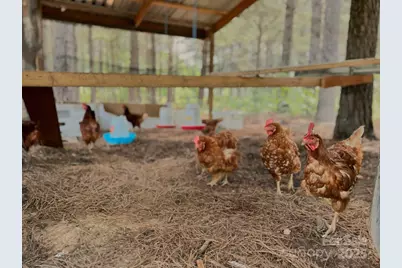 1808 Aiken Road, Blackstock, SC 29014 - Photo 15