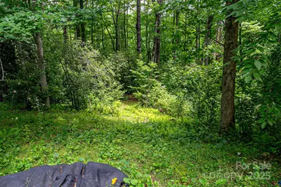 164 Horseplay Lane, Lake Toxaway, NC 28747 - Photo 3