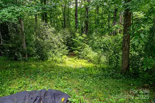 164 Horseplay Ln, Lake Toxaway, NC 28747 - Photo 3