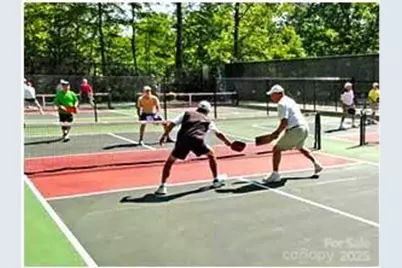 216 Tinequa Drive, Brevard, NC 28712 - Photo 43