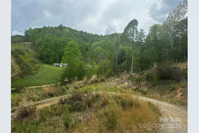 00 McPeters Lane, Burnsville, NC 28714 - Photo 3