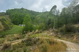 00 McPeters Ln, Burnsville, NC 28714 - Photo 3