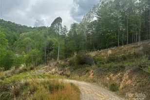 00 McPeters Ln, Burnsville, NC 28714 - Photo 5