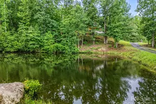 4086 Big Island Rd, Rutherfordton, NC 28139 - Photo 3