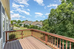 52095 Longspur Ln, Indian Land, SC 29707 - Photo 19