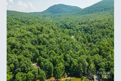 11 Roy Lane, Black Mountain, NC 28711 - Photo 3