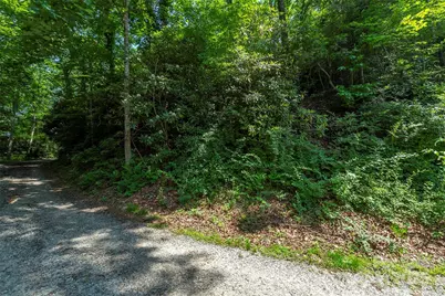 11 Roy Lane, Black Mountain, NC 28711 - Photo 7