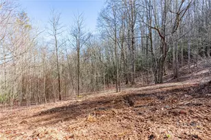 0 Landis Ln, Burnsville, NC 28714 - Photo 5