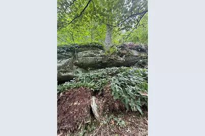 000 Laurel Ledge Way #23, Fletcher, NC 28732 - Photo 11