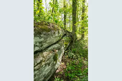 000 Laurel Ledge Way #23, Fletcher, NC 28732 - Photo 3